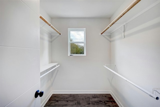 spacious closet with dark hardwood / wood-style floors