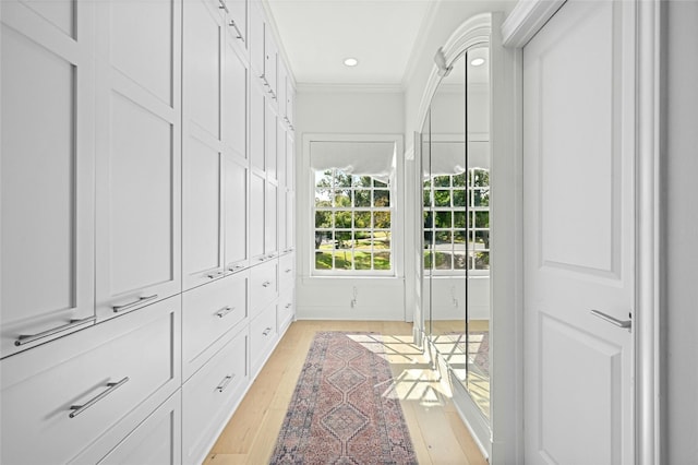 walk in closet featuring light hardwood / wood-style flooring