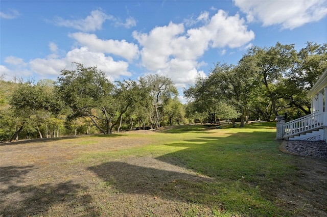 view of yard