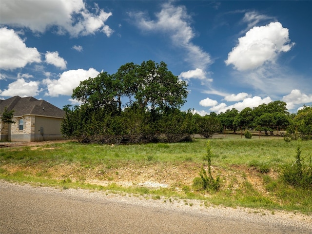 Listing photo 3 for 126 Frank Jones, Blanco TX 78606