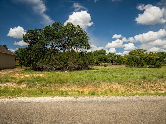 Listing photo 2 for 126 Frank Jones, Blanco TX 78606