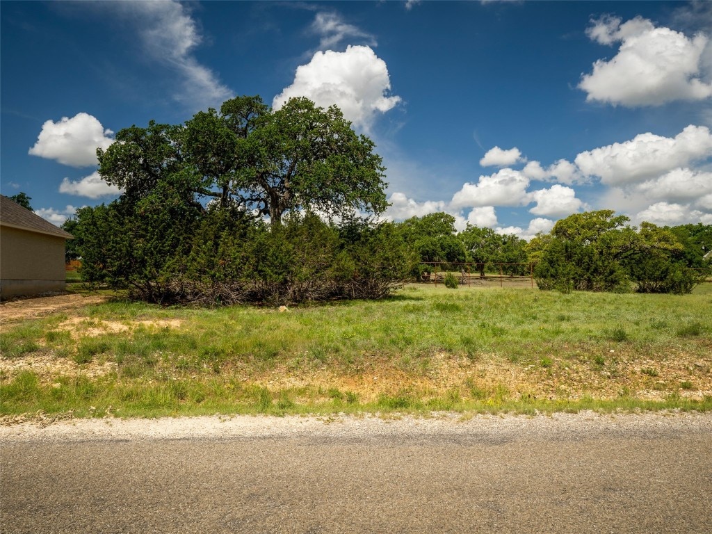 126 Frank Jones, Blanco, TX 78606