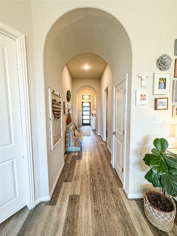 corridor featuring hardwood / wood-style flooring