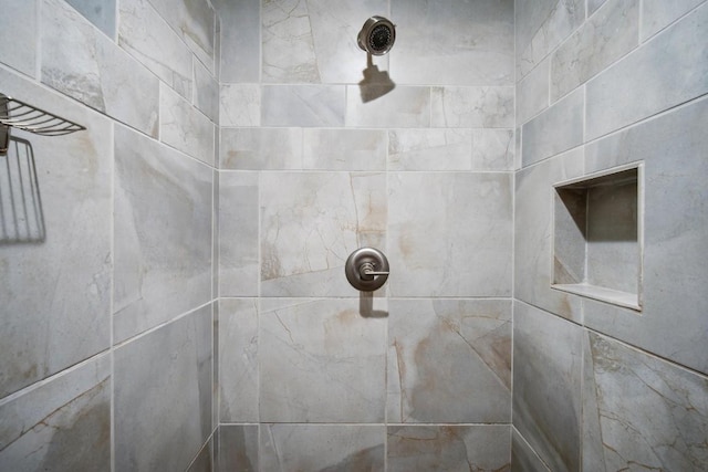 503 Swanee Dr Unit 19, Austin, TX 78752 - bathroom view of a tile shower