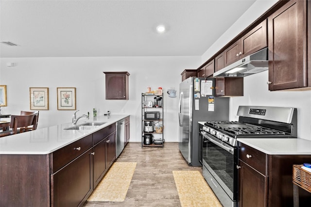 kitchen with dark brown cabinetry, sink, appliances with stainless steel finishes, and light hardwood / wood-style flooring