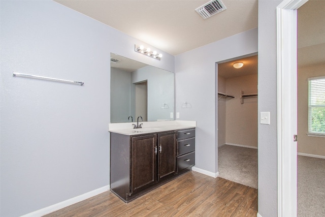 bathroom featuring wood-type flooring and vanity