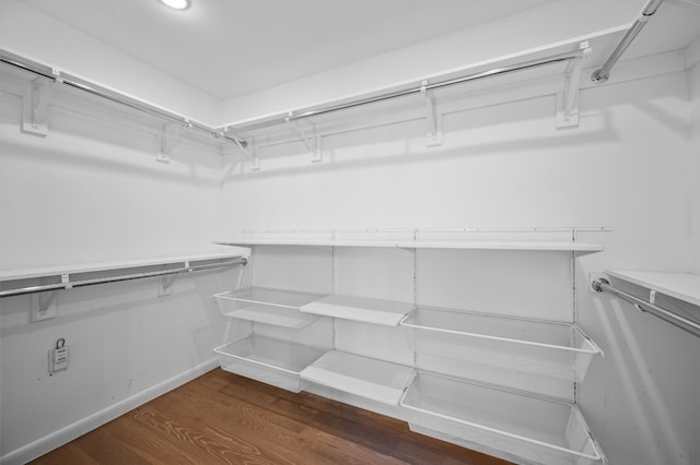 spacious closet with dark wood-type flooring