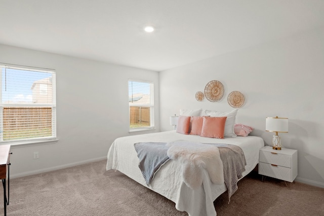 bedroom with carpet flooring