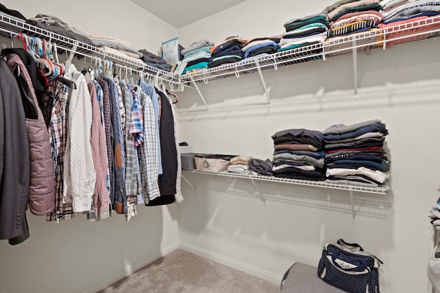 spacious closet with carpet flooring