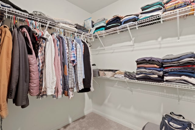 walk in closet with carpet