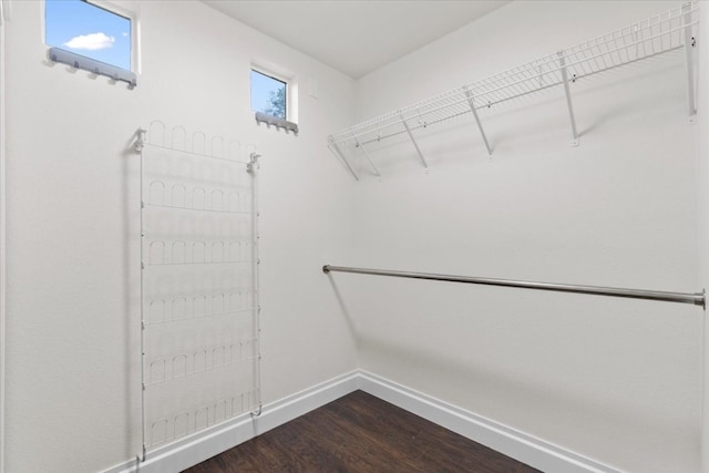 spacious closet featuring dark hardwood / wood-style flooring