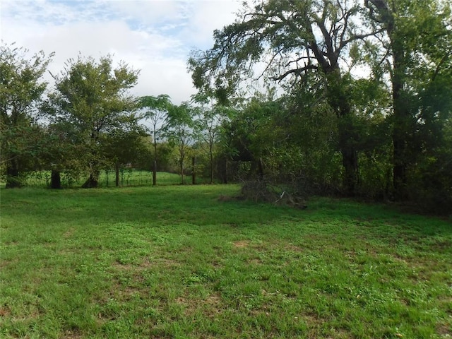 524OLDMCDADERD Old Mcdade Rd, Elgin, TX 78621 - photo 7