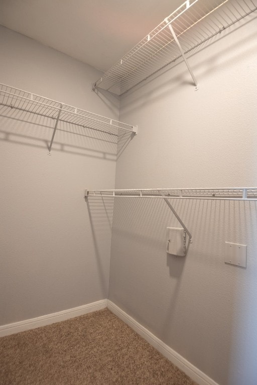 spacious closet with carpet flooring