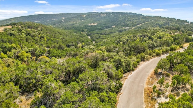 21105 Bison Trl, Lago Vista, TX 78645