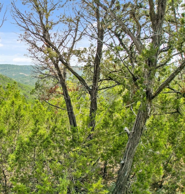 21105 Bison Trl, Lago Vista, TX 78645