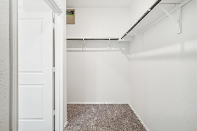 spacious closet with carpet