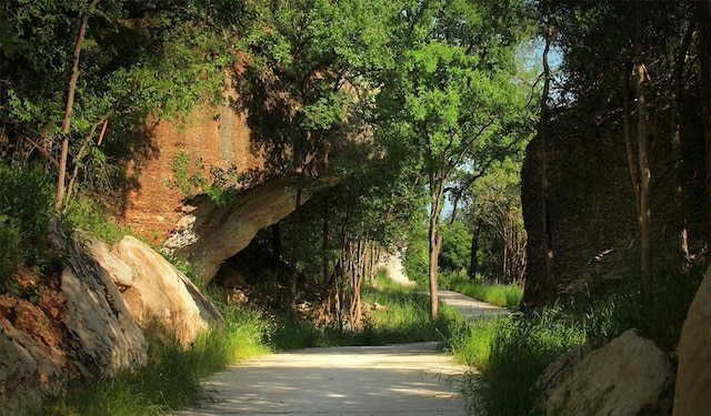 view of surrounding community