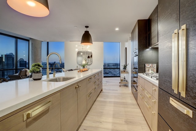 kitchen featuring floor to ceiling windows, sink, decorative light fixtures, and light wood-type flooring