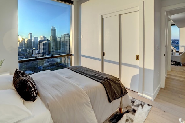 bedroom featuring multiple windows, expansive windows, a closet, and light wood-type flooring