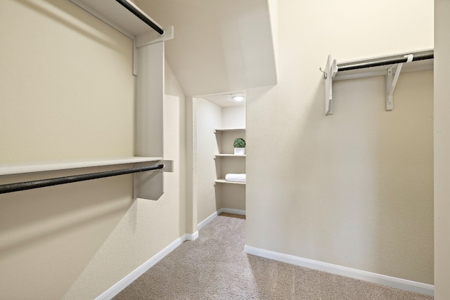 walk in closet with light carpet