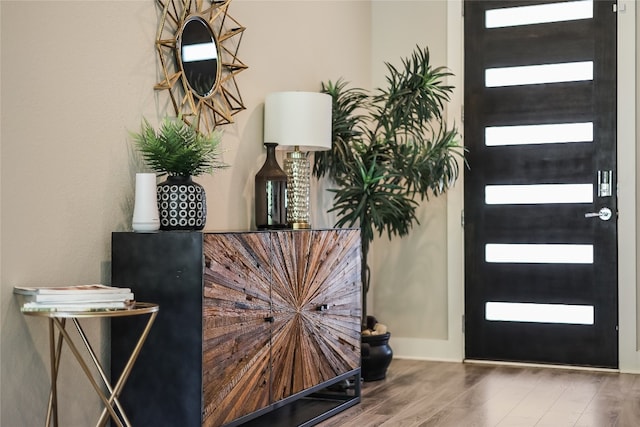 foyer entrance with hardwood / wood-style floors and plenty of natural light