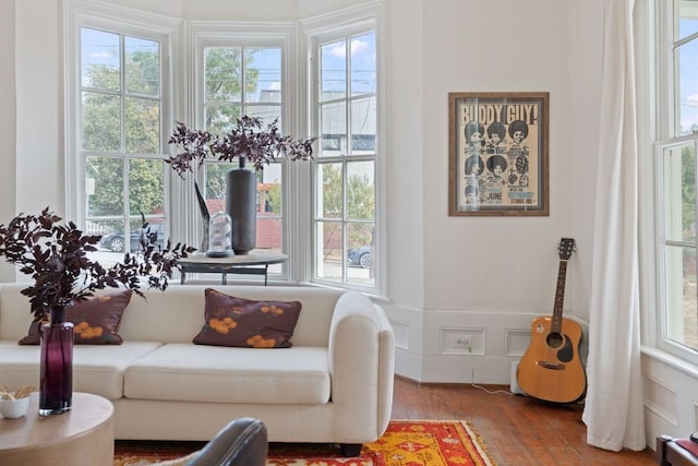 living room with hardwood / wood-style floors and plenty of natural light