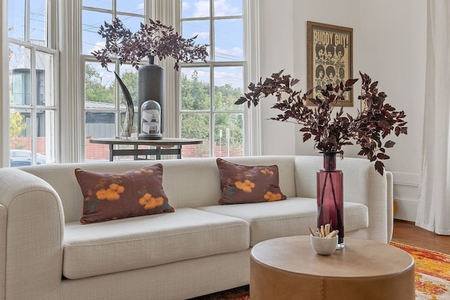 living room with hardwood / wood-style flooring and plenty of natural light