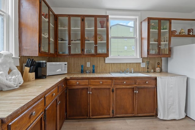 kitchen with light hardwood / wood-style flooring and sink