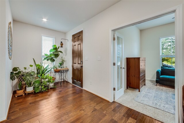 foyer entrance featuring wood-type flooring