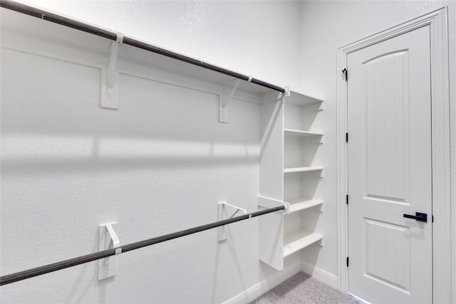 walk in closet featuring carpet