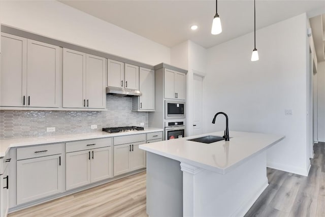 kitchen featuring light wood-style flooring, a sink, under cabinet range hood, tasteful backsplash, and stainless steel appliances