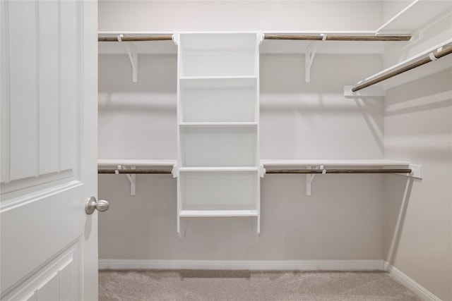 spacious closet featuring light carpet