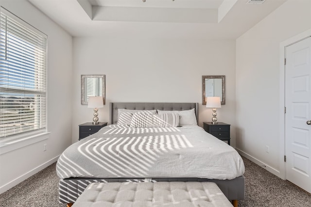 bedroom with a tray ceiling and carpet flooring