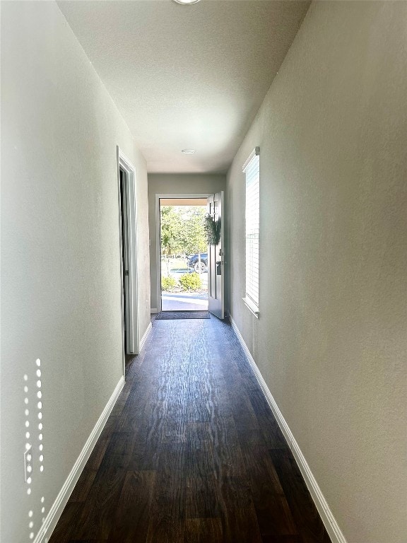 hallway featuring dark wood-type flooring