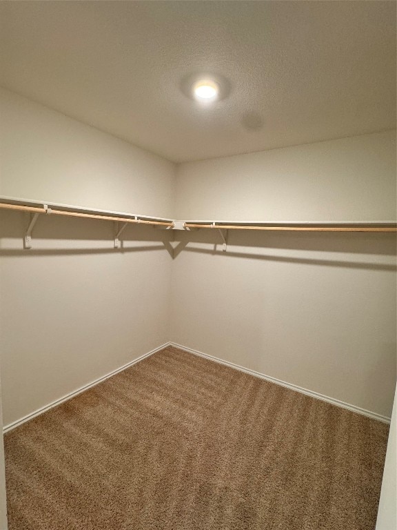 spacious closet featuring carpet flooring