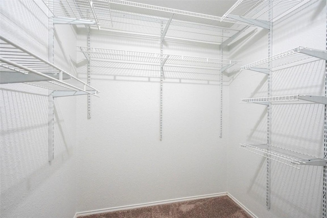 910 Crieff Cross Dr, Pflugerville, TX 78660 - walk in closet featuring carpet