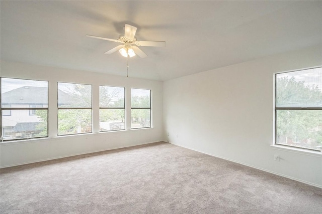 910 Crieff Cross Dr, Pflugerville, TX 78660 - photo 16