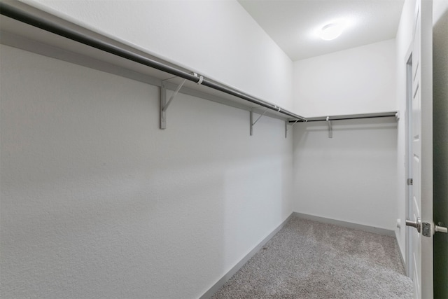 spacious closet with light colored carpet