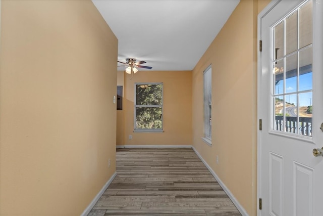 hallway with hardwood / wood-style flooring