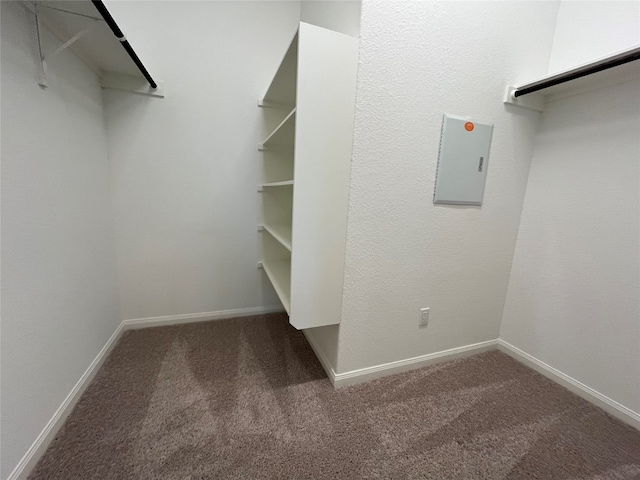 spacious closet with carpet