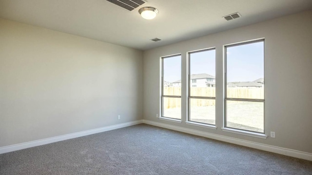 121 La Venta Loop, Liberty Hill, TX 78642 - spare room with baseboards, carpet flooring, and plenty of natural light
