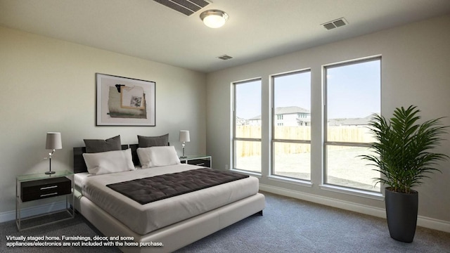 121 La Venta Loop, Liberty Hill, TX 78642 - bedroom featuring baseboards, multiple windows, and carpet floors