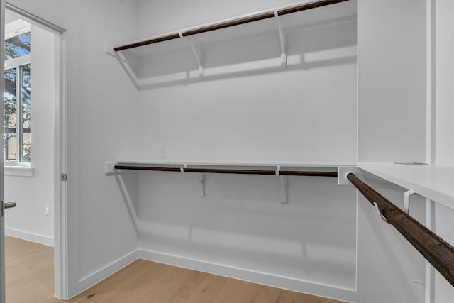 spacious closet with light wood-type flooring