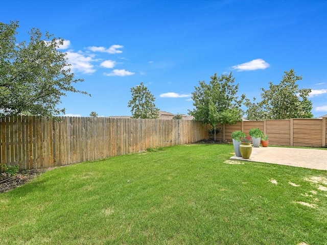 view of yard featuring a patio