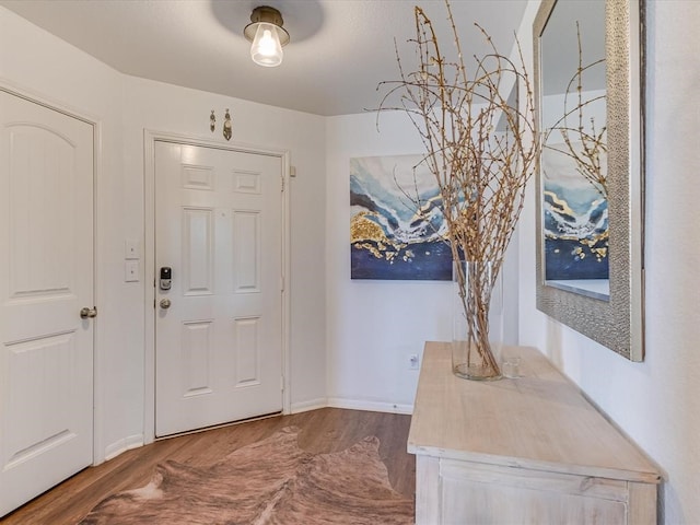 foyer with hardwood / wood-style floors