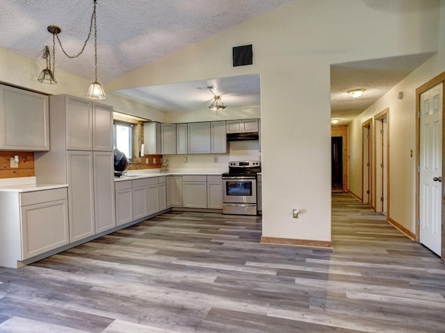 325 Simpson Ave, Cedar Creek, TX 78612 - kitchen featuring electric range, vaulted ceiling, under cabinet range hood, wood finished floors, and a textured ceiling