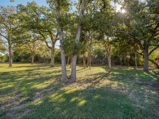 325 Simpson Ave, Cedar Creek, TX 78612 - view of green lawn