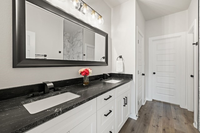 bathroom featuring wood-type flooring and vanity