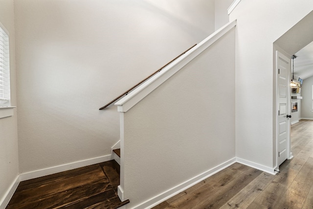 staircase with hardwood / wood-style floors