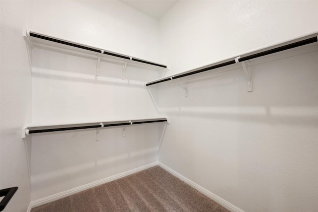 walk in closet featuring carpet flooring